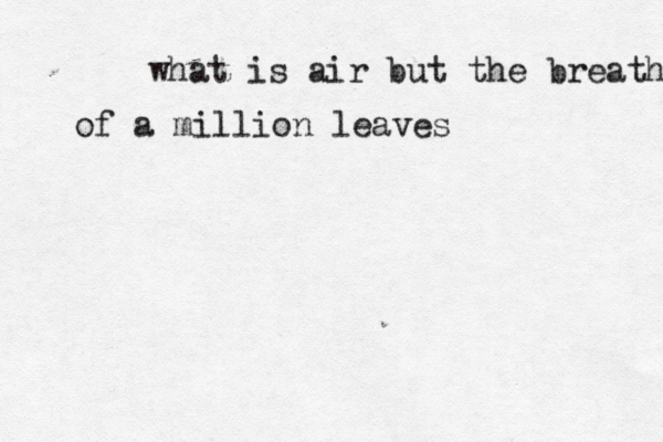 what is air but the breath of a million leaves
