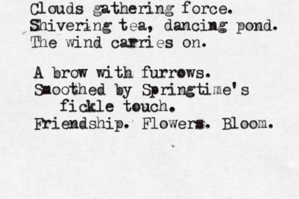 Clouds gathering force. Shivering tea, dancing pond. The wind carries on. A brow with furrows. Smoothed by Springtime's fickle touch. Friendship. Flowers. Bloom. 