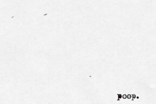 poop. 