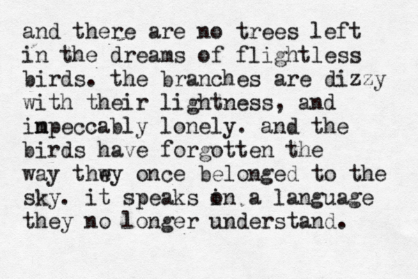 and there are no trees left in the dreams of flightless birds. the branches are dizzy with their lightness, and inpeccabl m y lonely. and the birds have forgotten the way thwy e once belonged to the sky. it speaks o in a language they no longer understand. 