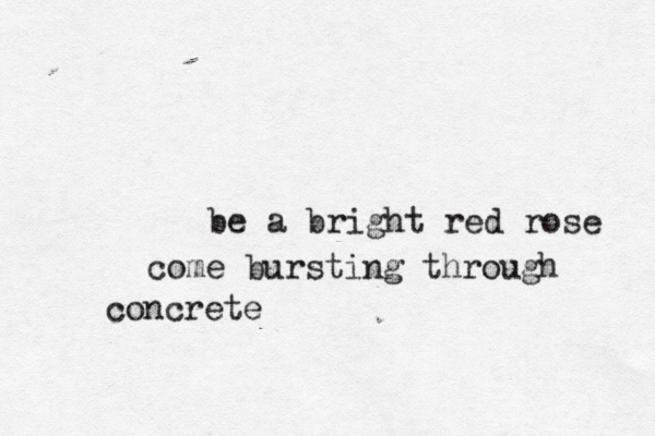 be a bright red rose come bursting through concrete