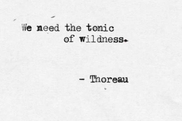 We need the tonic of wildness. - Thoreau 