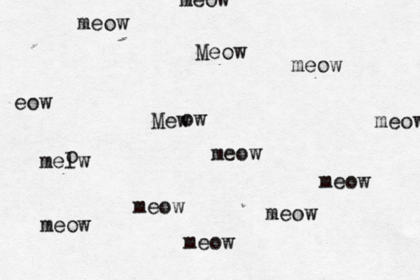 Meow eow meow meow Mew ow meow meow meow meow meow melw o meow meow meow 