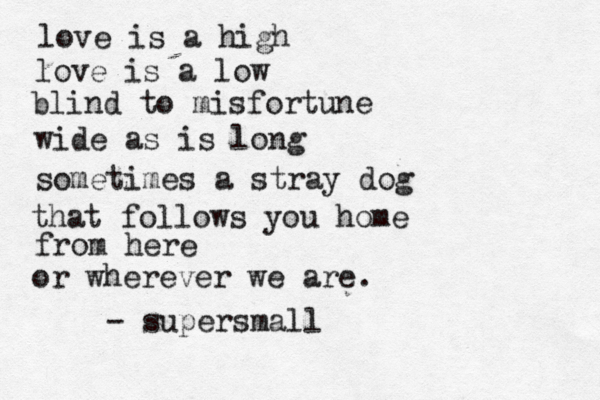 love is a high love is a low blind to misfortune wide as is long sometimes a stray dog that follows you home from here or wherever we are. - supersmall 
