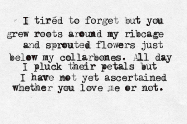 I tired to forget but you grew roots around my ribcage and sprouted flowers just below my collarbones. All day I pluck their petals but I have not yet ascertained whether you love me or not. 