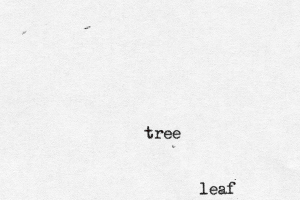 leaf tree 