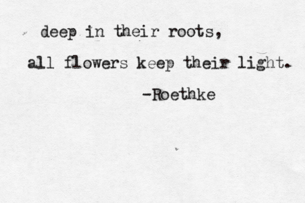 deep in their roots, all flowers keep their light. -Roethke