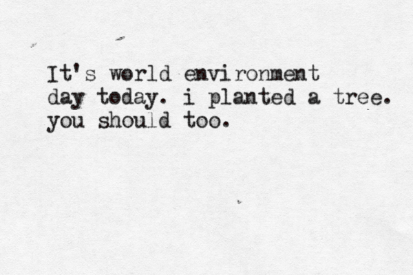 It's world environment day today. i planted a tree. you should too.
