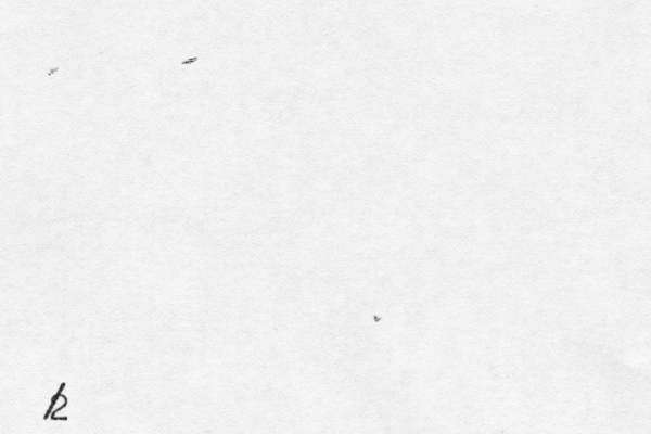 2 /