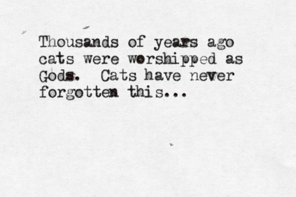 Thousands of years ago cats were worshipped as Gods. Cats have never forgotten this... 