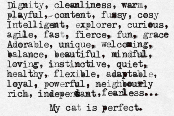 Dignity, cleanliness, warm, playful, content, fussy, cosy Intelligent, explorer, curious, agile, fast, fierce, fun, grace Adorable, unique, welcoming, balance, beautiful, mindful, loving, instinctive, quiet, healthy, flexible, adaptable, loyal, powerful, neighbourly rich, indepensant d d ,fearless... My cat is perfect. 