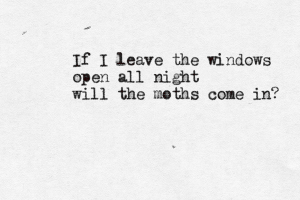 If I leave the windows open all night will the moths come in? 