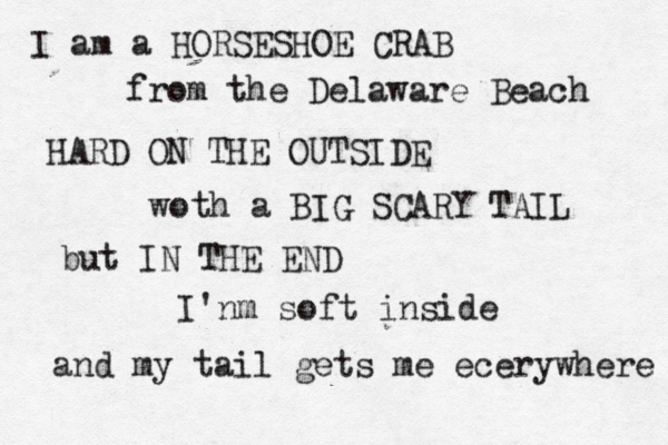 I am a HORSESHOE CRAB from the Delaware Beach HARD ON THE OUTSIDE woth a BIG SCARY TAIL but IN THE END I'n m soft inside and my tail gets me ecerywhere 
