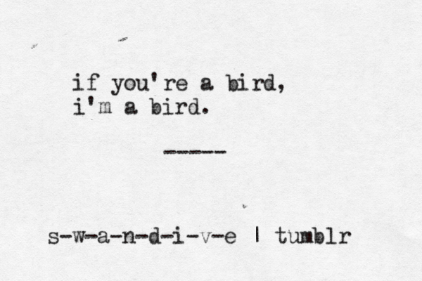 if you're a bird, i'm a bird. ----- s-w-a-n-d-i-v-e | tumblr 