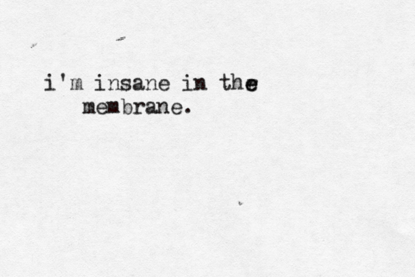 i'm insane in thr e e membrane.