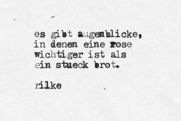 es gibt augenblicke, in denen eine rose wichtiger ist als ein stueck brot. rilke 
