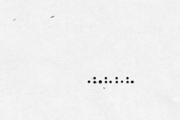 .:.:.:.:. 