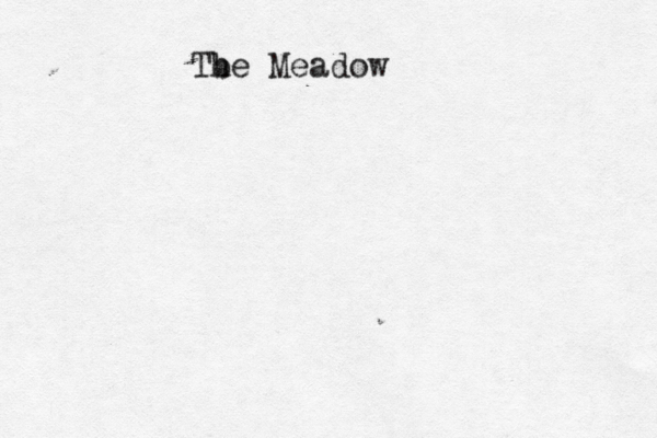 Gone Fishing Tb he Meadow 