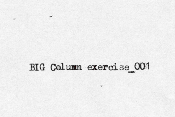 BIG Cou BIG Column exercise_001 