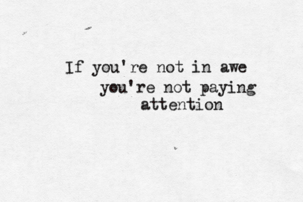 If you're not in awe you're not paying attention 