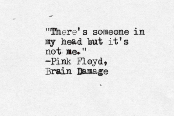 "There's someone in my head but it's not me." -Pink Floyd, Brain Damage
