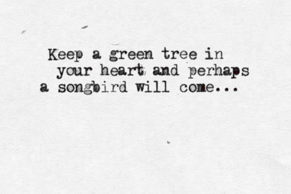 Keep a green tree in your heart and perhaps a songbird will come... 