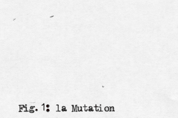 Fig.1: la Mutation