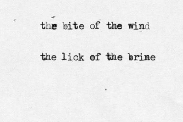 thr e bite of the wind the lick of the brine 
