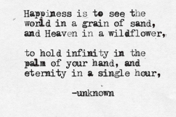 Happiness is to see the world in a grain of sand, and Heaven in a wildflower, to hold infinity in the palm of your hand, and eternity in a single hour, -unknown
