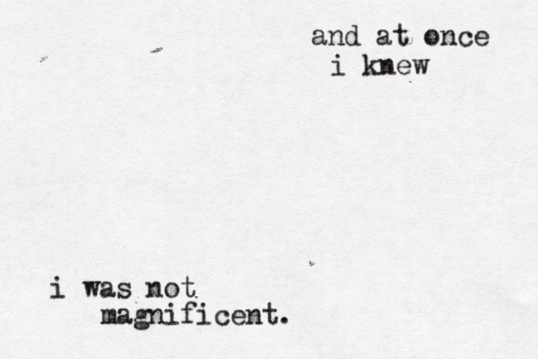 and at once i knew i was not magnificent.