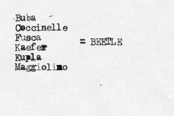 Buba Coccinelle Fusca Kaefer Kupla Maggiolim n n n n no = BEETLE