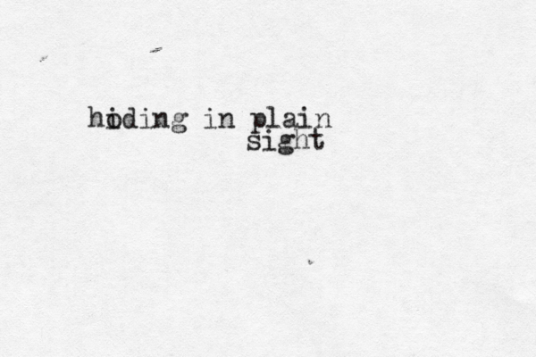 ho iding in plain sight