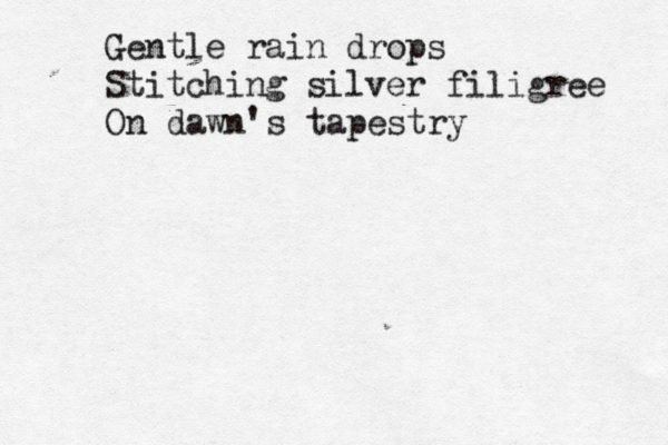 Gentle rain drops Stitching silver filigree On dawn's tapestry