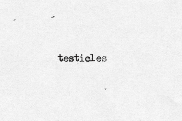 testicles