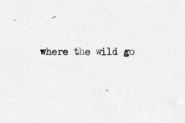 where the wild go 