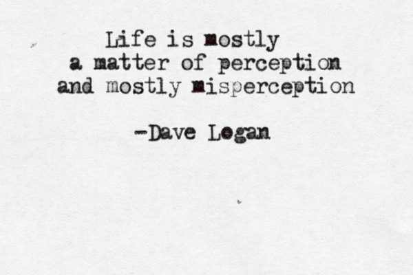 Life is mostly a matter of perception and mostly misperception -Dave Logan