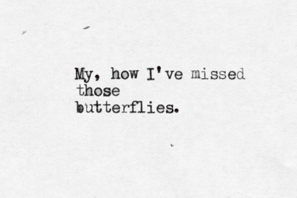 My, how I've missed those butterflies. 
