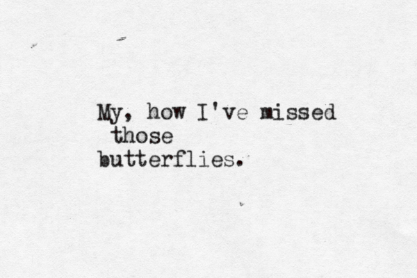 My, how I've missed those butterflies. 