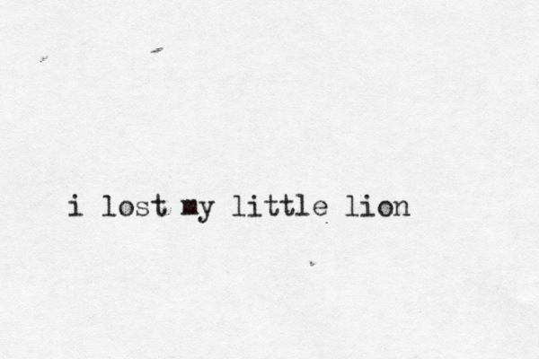 i lost my little lion