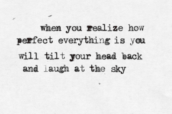 when you realize how perfect everything is you will tilt your head back and laugh at the sky 