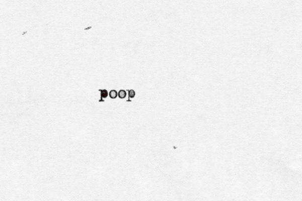 poop 