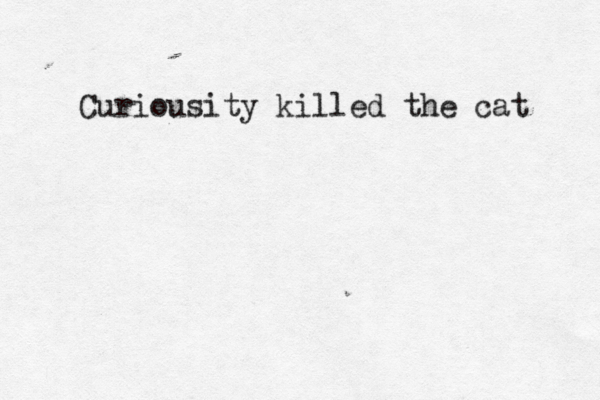 Curiousity killed the cat 