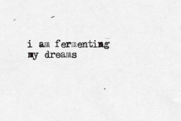 i am fermenting my dreams 