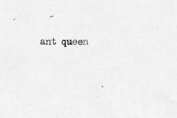 ant queen
