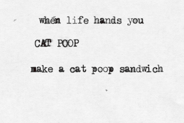 when life hands you CAT POOP make a cat poop sandwich 