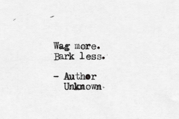 Wag more. Bark less. - Author Unknown