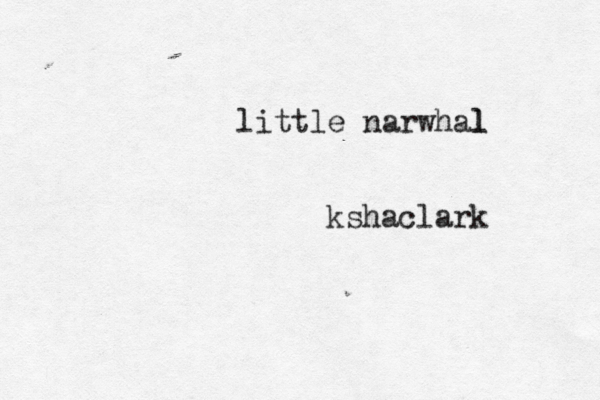 little narwhal little narwhal l @@kshaclark 