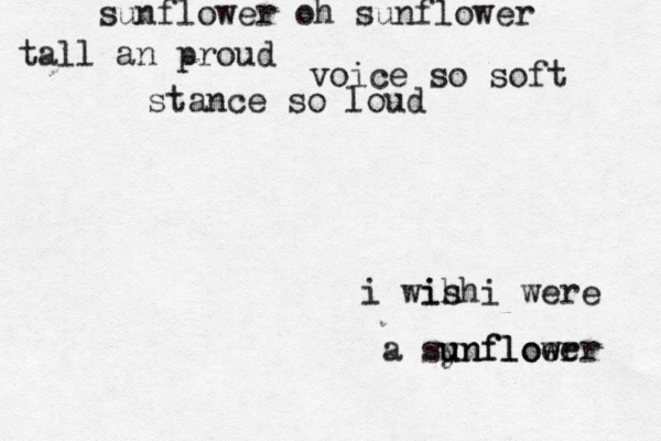 sunflower oh sunflower tall an proud voice so soft stance so loud i wih i ish were a synfloer unflower w u