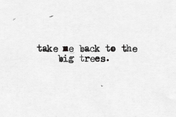 take me back to the big trees. 