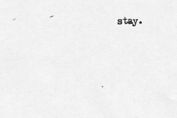 stay. 